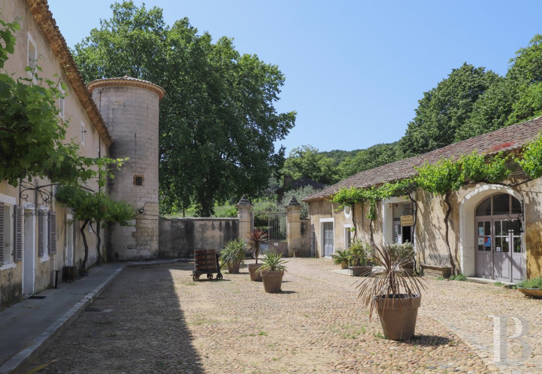 castles for sale France languedoc roussillon   - 15