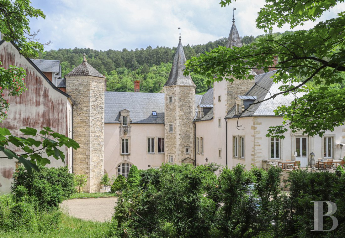 A wine estate and 16th century chateau  in the heart of Burgundy and the Auxey-Duresses vineyards - photo  n°35