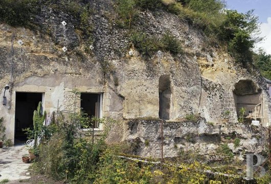 A troglodyte house full of comfort and light in the Val de Loire across from Amboise  - photo  n°36