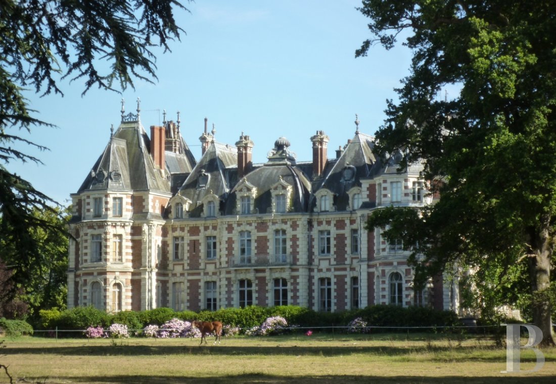 A family chateau surrounded by land between Angers and Cholet - photo  n°4