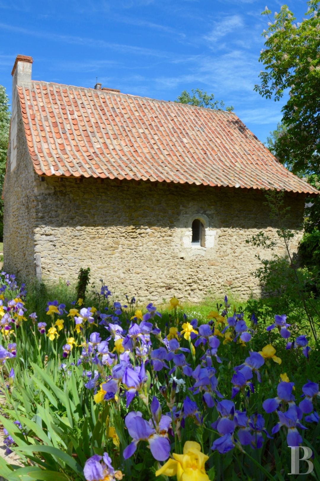 Manors for sale in Saumur and surrounding area in France