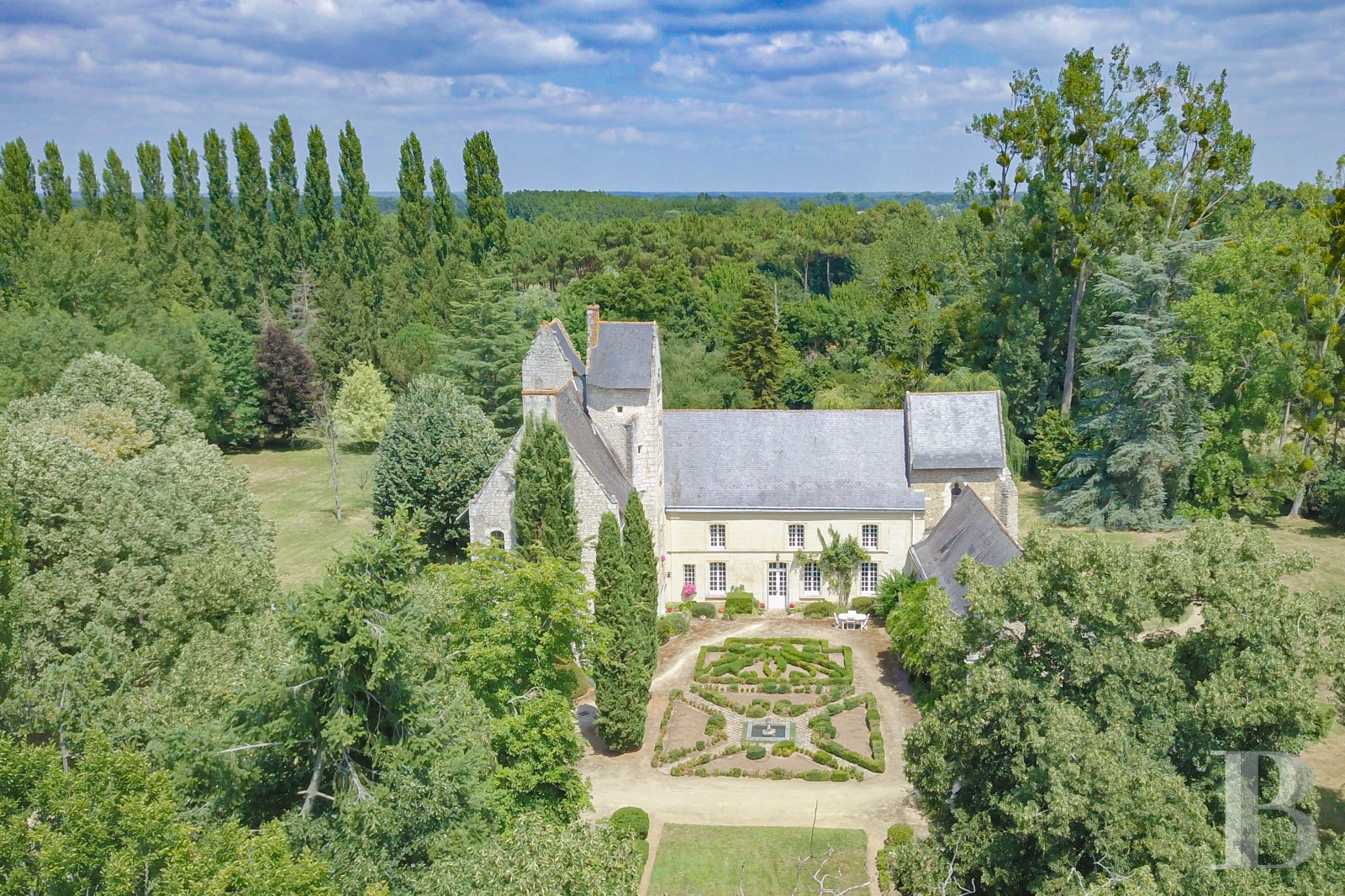 Manors for sale in Saumur and surrounding area in France