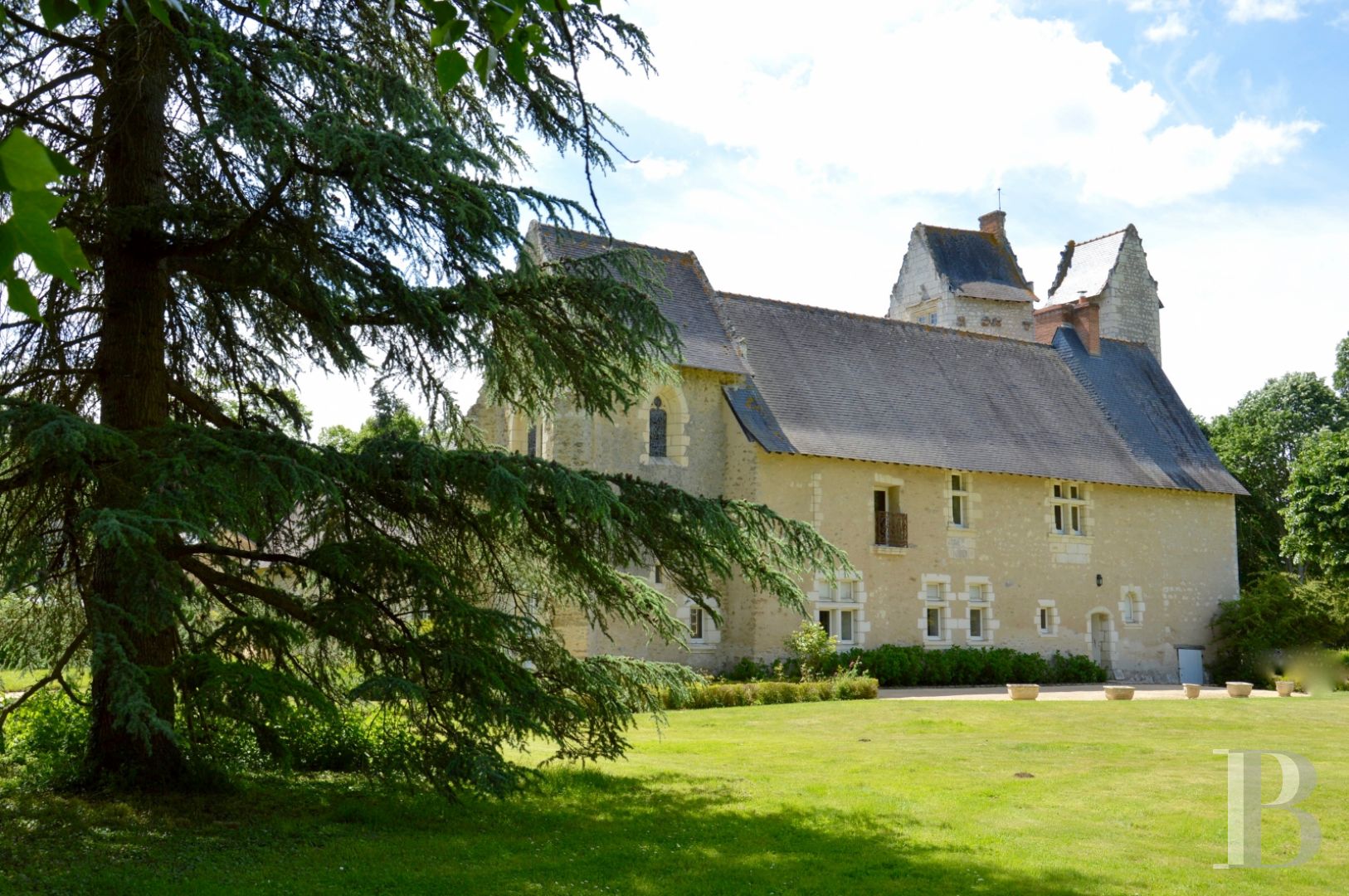 Manors for sale in Saumur and surrounding area in France