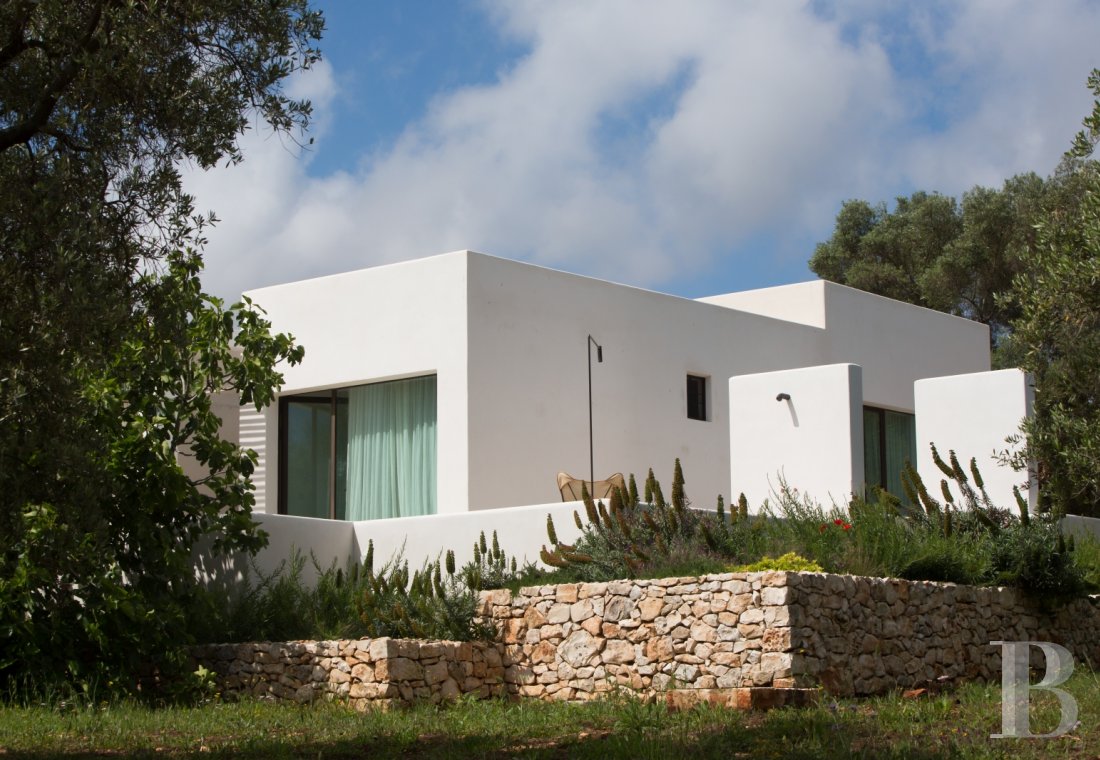The Casa di Monti, between two seas and a field of ancient olive trees, perfect for holidays in Puglia in Southern Italy  - photo  n°1