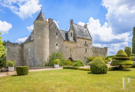 France mansions for sale center val de loire   - 7