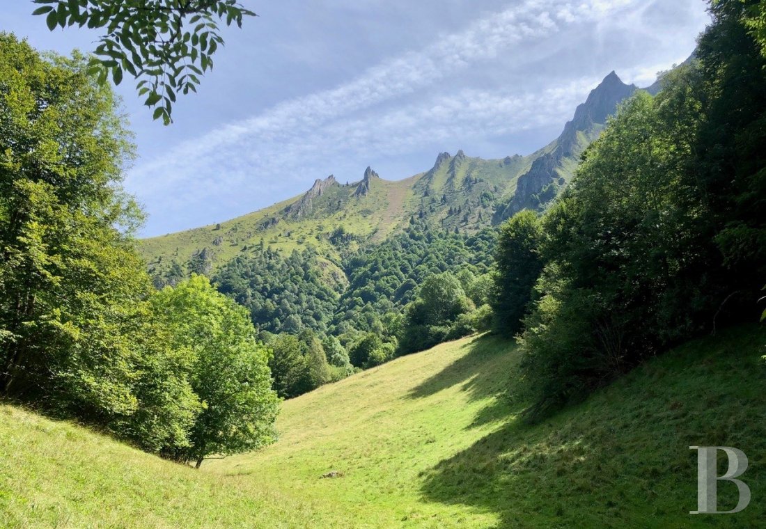 A well-preserved estate between Lourdes and the Spanish border in Bigorre, the Hautes-Pyrénées - photo  n°39