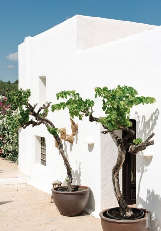 An 18th century «finca» converted into a chic and intimate guesthouse on the island of Ibiza - photo  n°2