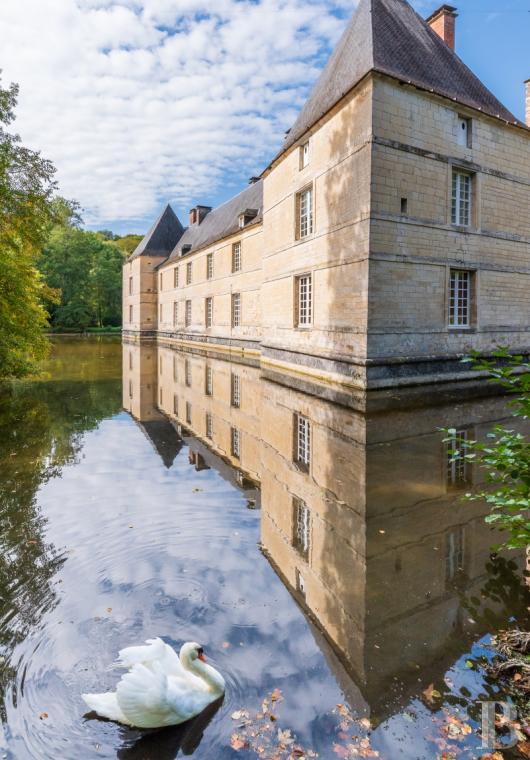A 16th century chateau dedicated to the art of living in Haute-Marne, to the west of Chaumont - photo  n°15