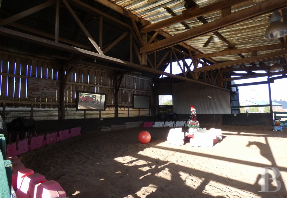 french equestrian properties for sale center val de loire equestrian properties - 8