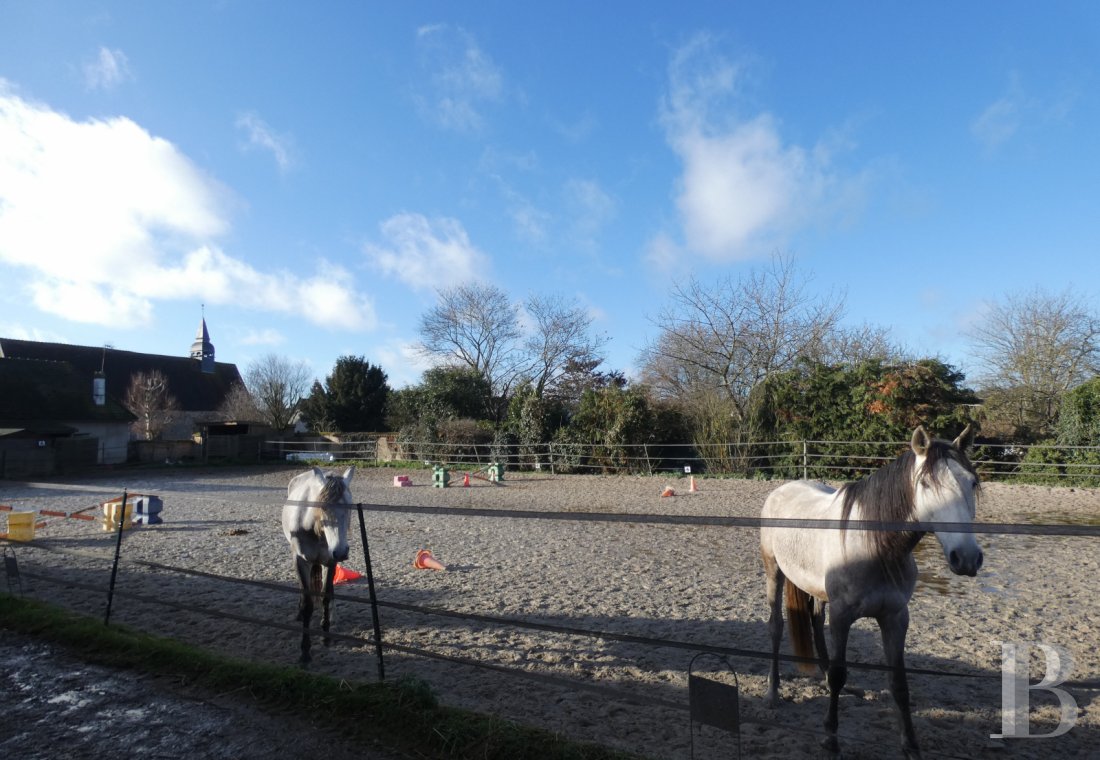 french equestrian properties for sale center val de loire   - 10