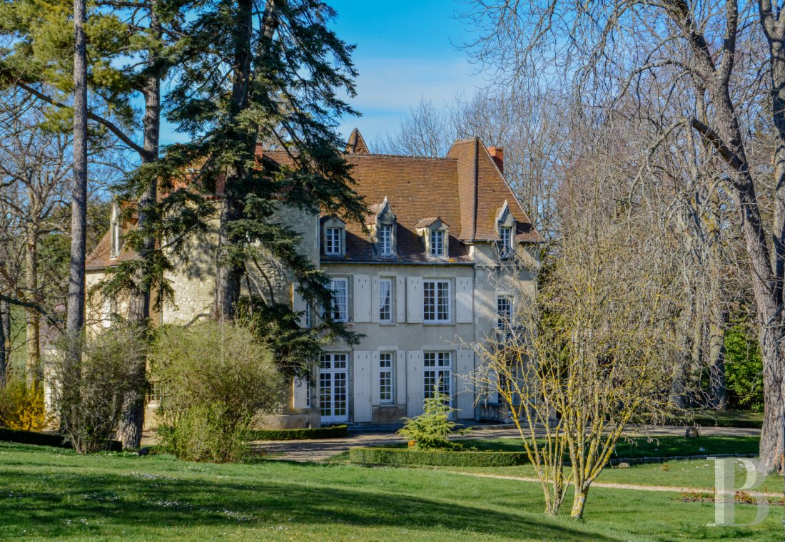 chateaux for sale France auvergne   - 1