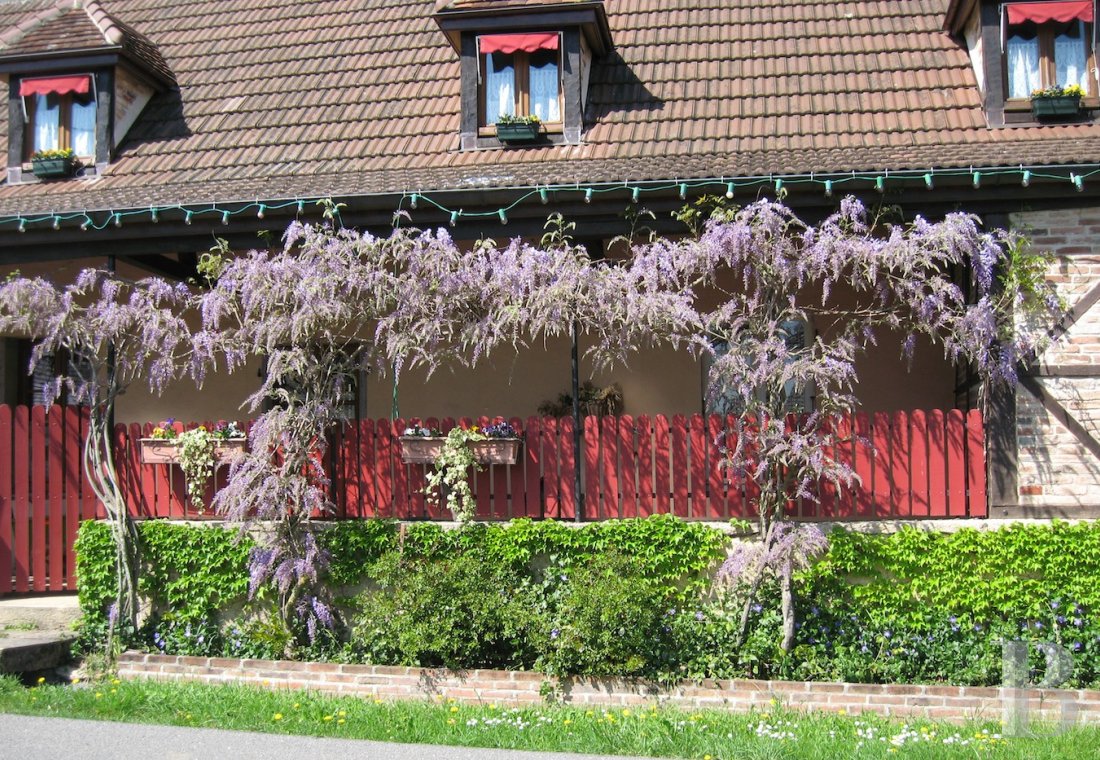 property for sale France burgundy residences equestrian - 7