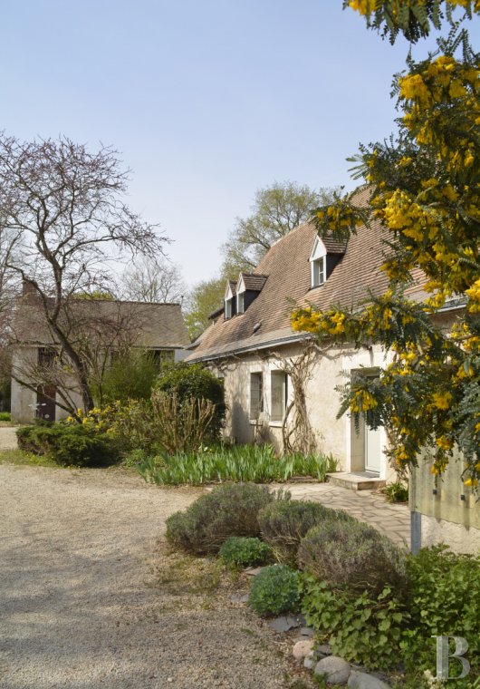 Residences for sale - center-val-de-loire - A manor house, a traditional, long farmhouse and outbuildings  in 7 ha of parklands, 15 minutes south of Tours