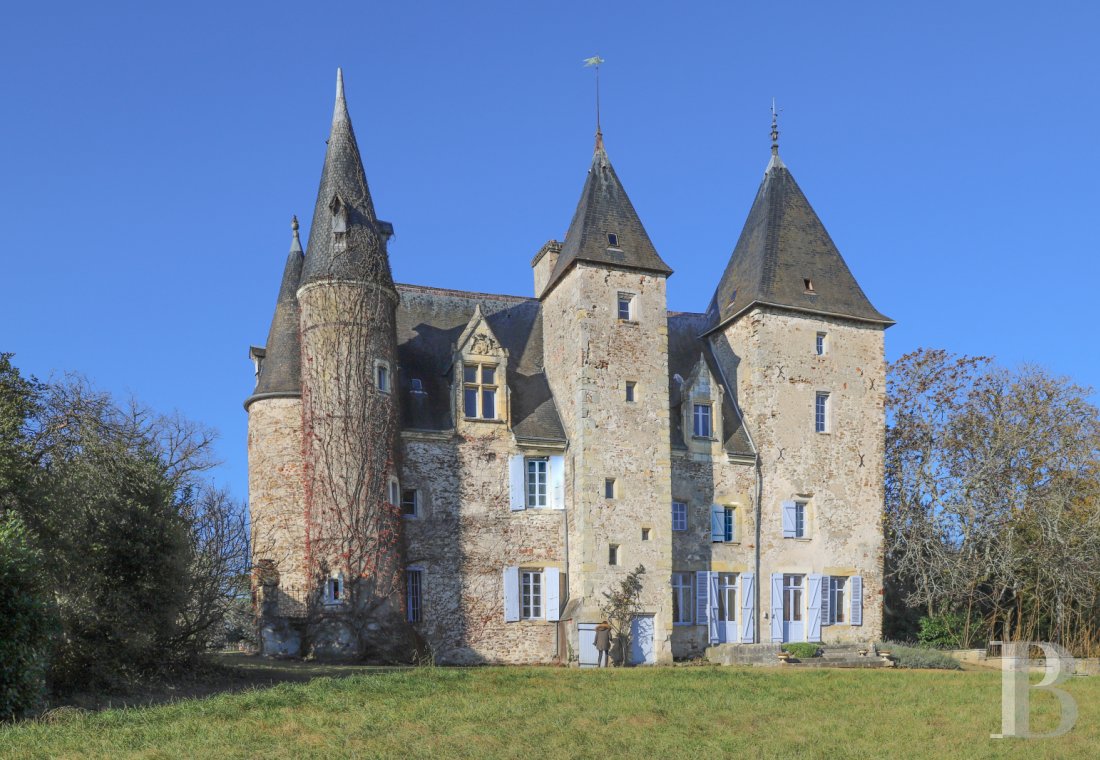 chateaux for sale France center val de loire castles chateaux - 1