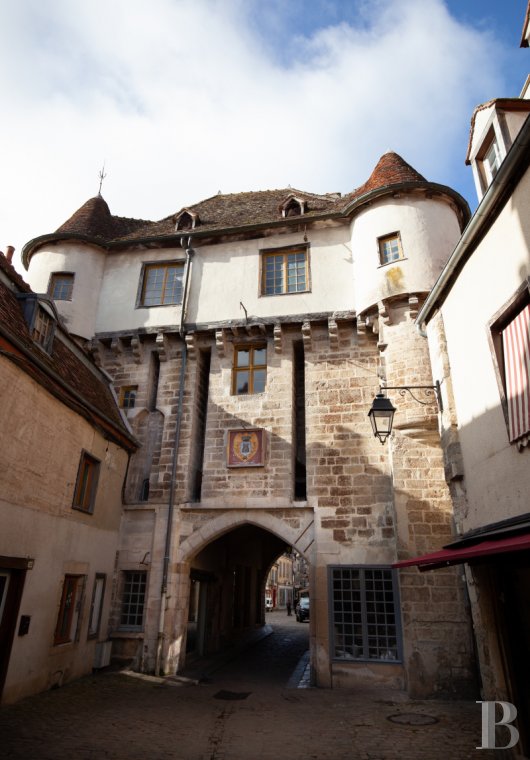 castles for sale France burgundy historic buildings - 2