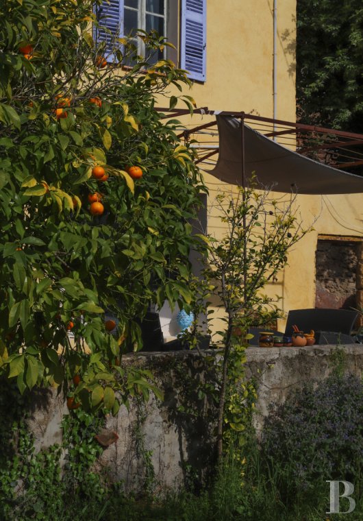 Character houses for sale - provence-cote-dazur - À Cotignac, dans le Moyen Var,  une maison de village avec un jardin planté d'oliviers