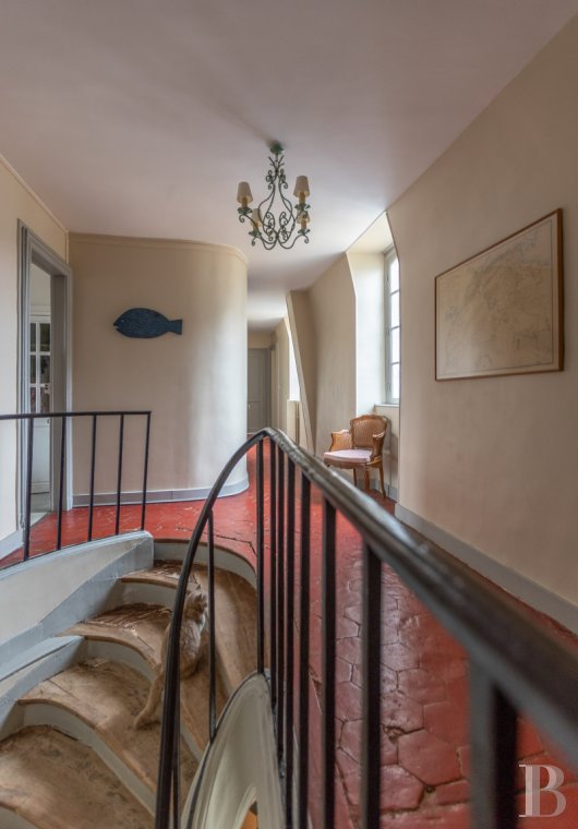 France mansions for sale paris   - 8