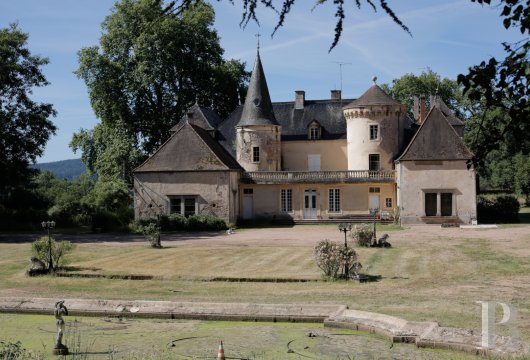chateaux for sale France burgundy castles chateaux - 3