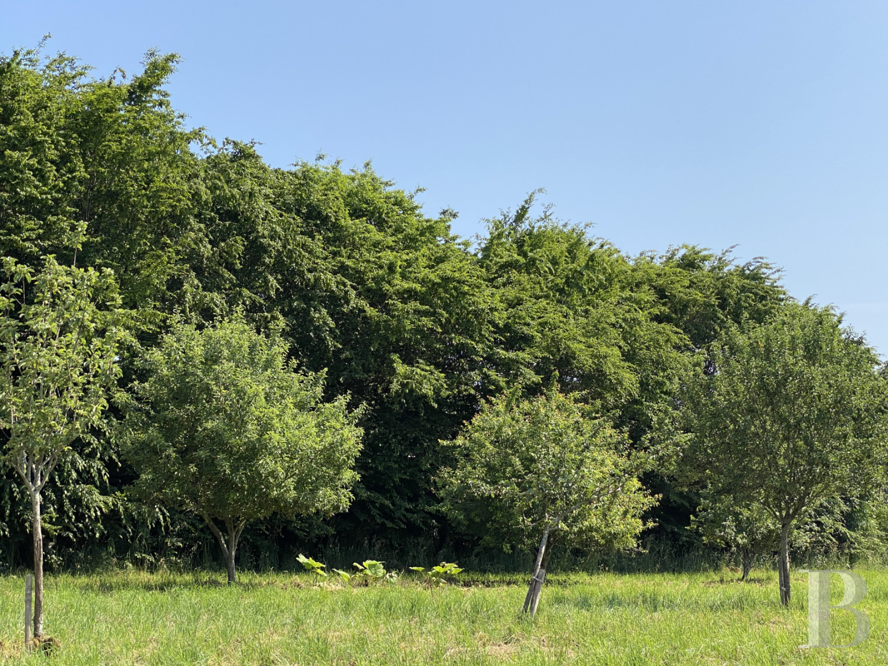 Hunting grounds for sale in France in Brittany