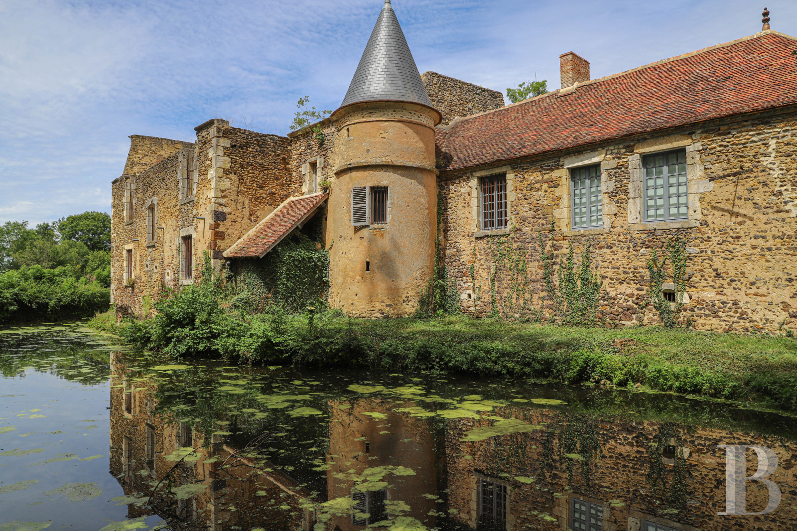 Castles / chateaux for sale in France in Burgundy, in the Puisaye region