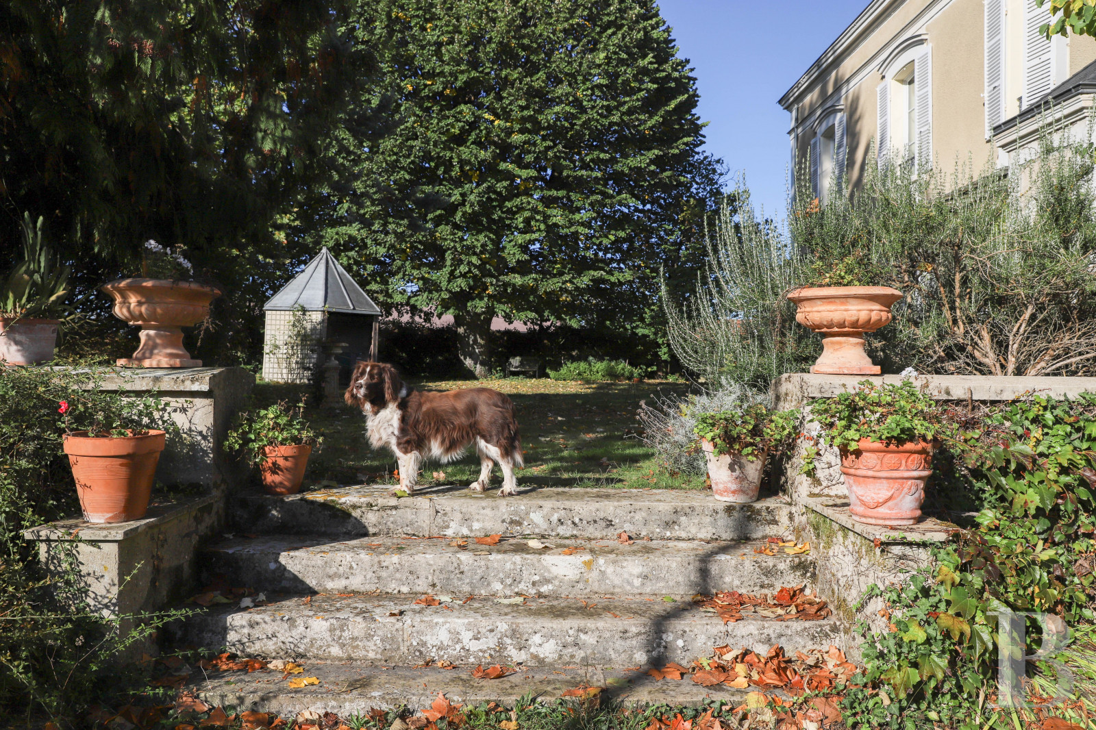 Residences for sale in France near Fontainebleau