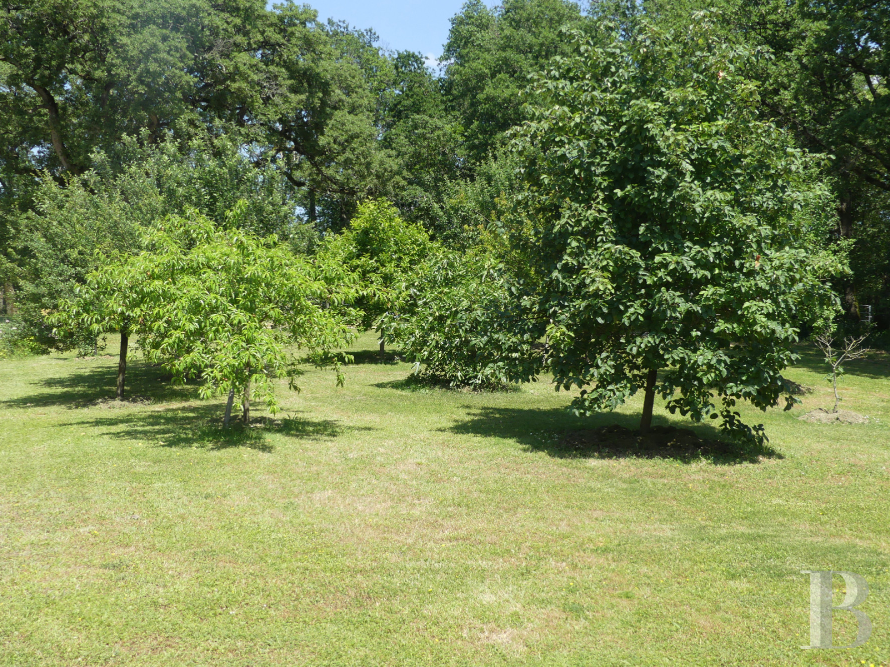 Character houses for sale vienne department in France