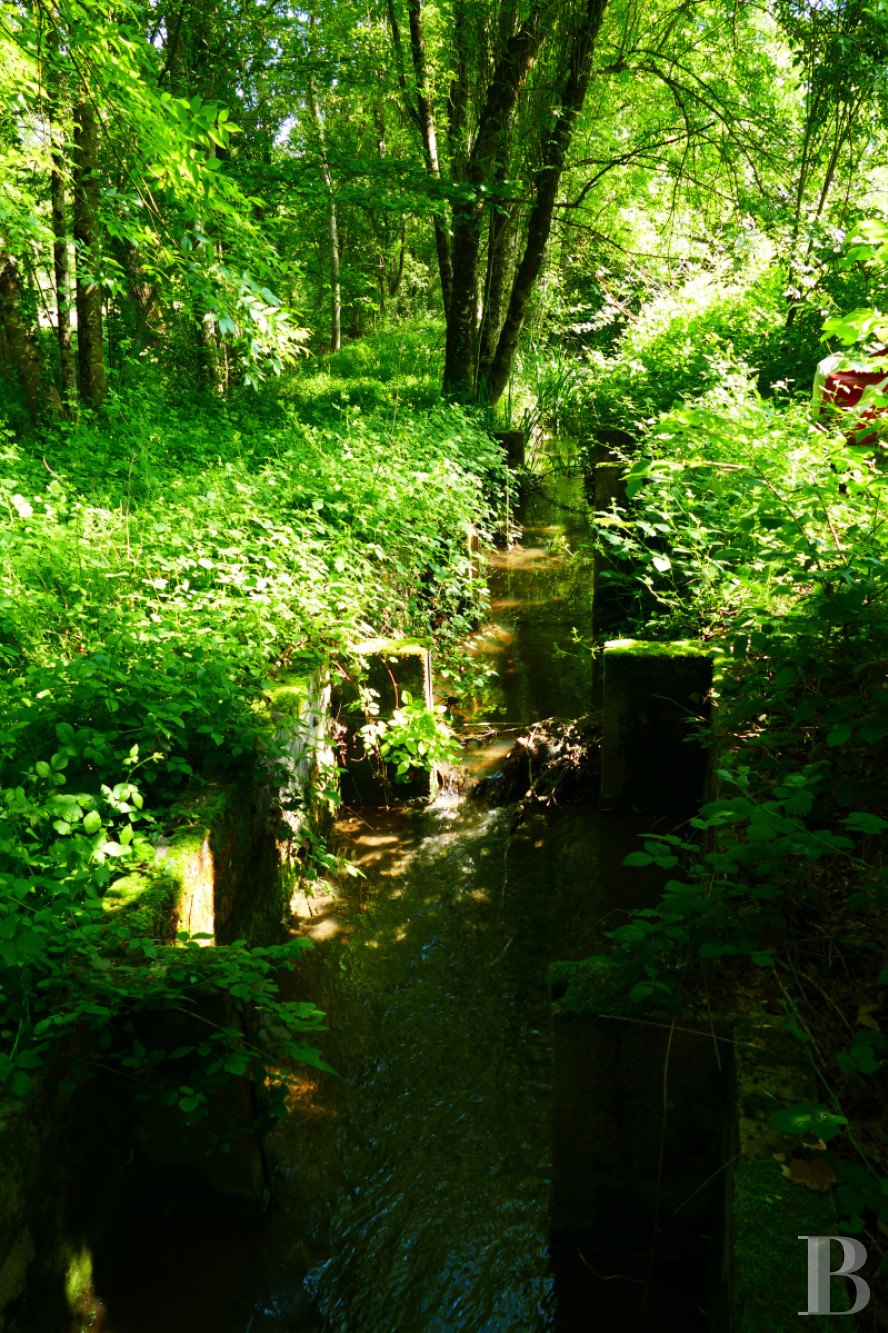 Mills for sale in France Charente department