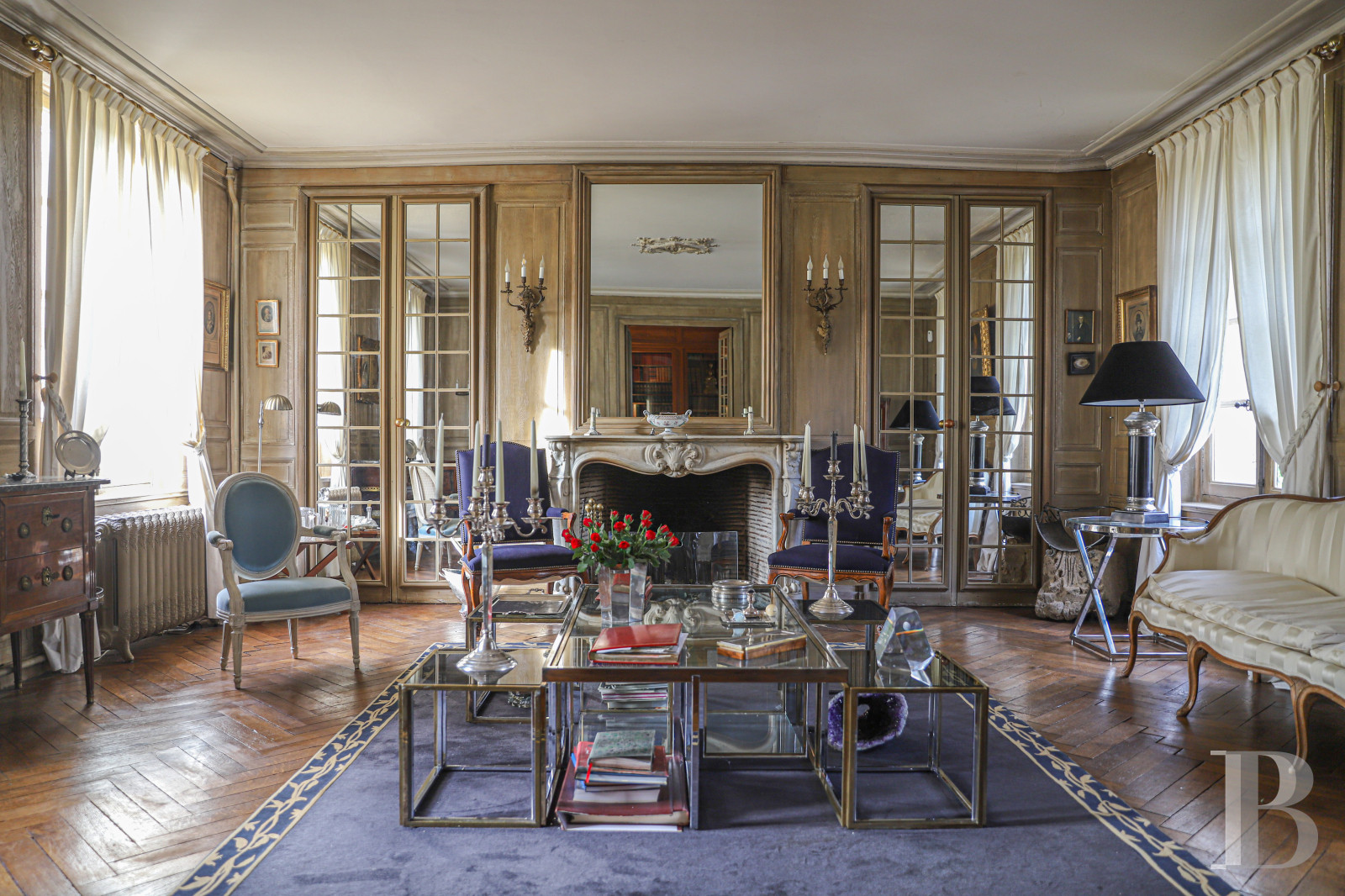 Castles / chateaux for sale in France burgundy near Sens and Joigny