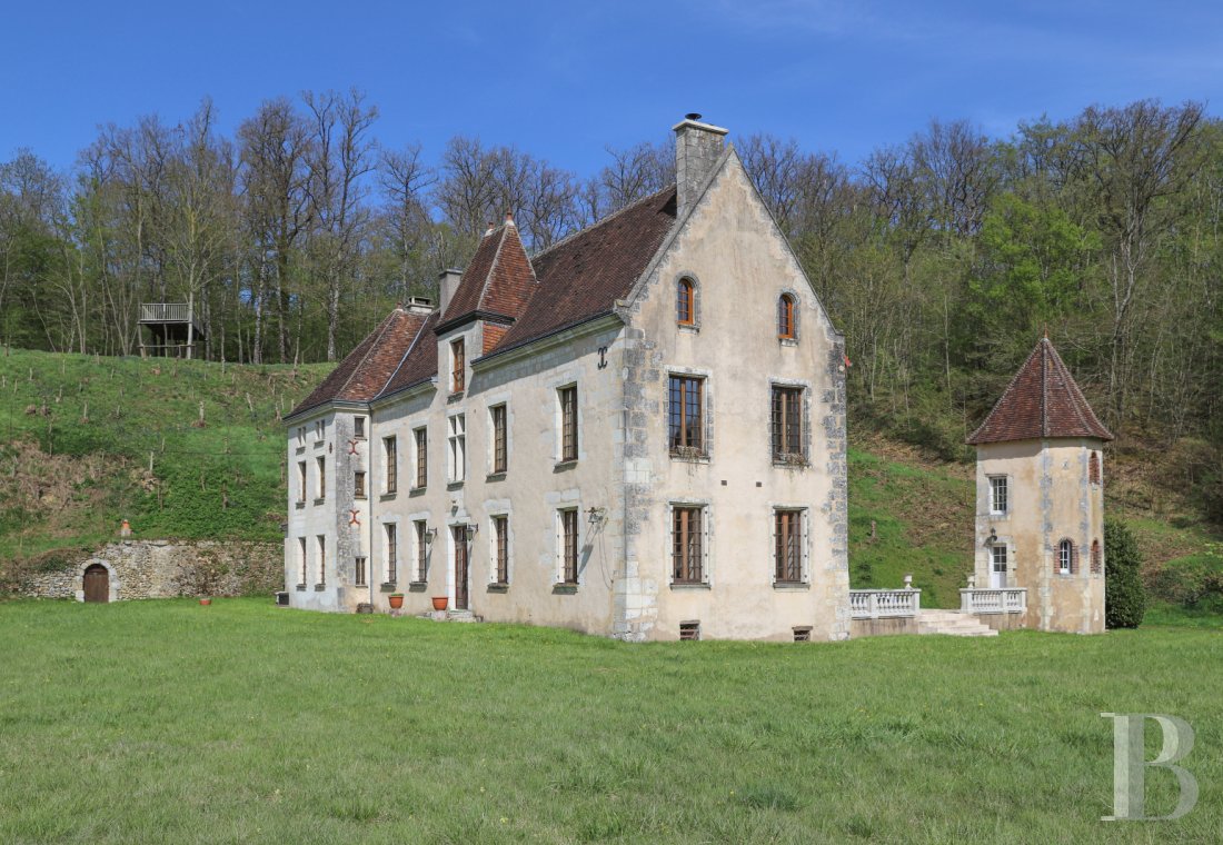 Castles / chateaux for sale - center-val-de-loire - En Centre Val-de-Loire, dans le Perche Vendômois, un château du 16ème siècle et ses dépendances sur près de 9 ha