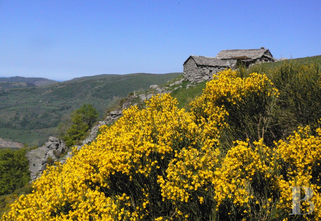 A buron transformed into a cottage surrounded by nature in the Auvergne Volcanoes Nature Reserve - photo  n°16