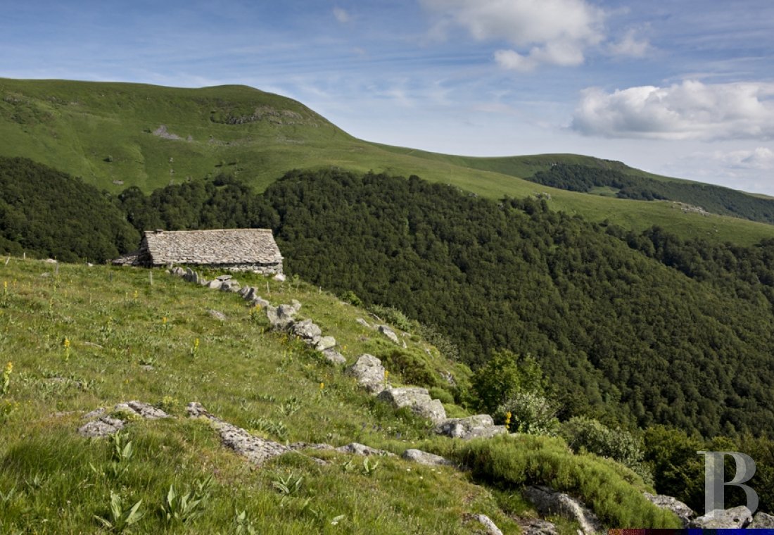 A buron transformed into a cottage surrounded by nature in the Auvergne Volcanoes Nature Reserve - photo  n°6