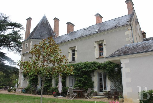 France mansions for sale center val de loire manors hunting - 3