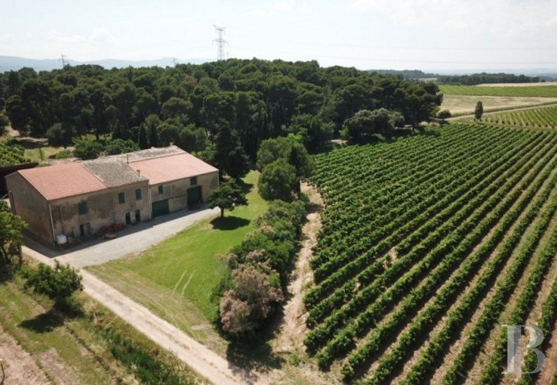 Winegrowing estate for sale Corbières region Narbonne