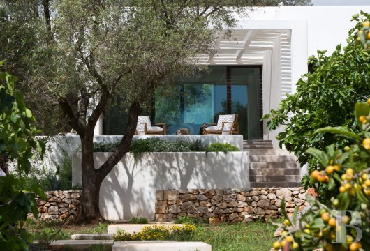 A designer house in Carovigno, between two seas and an ocean of ancient olive trees