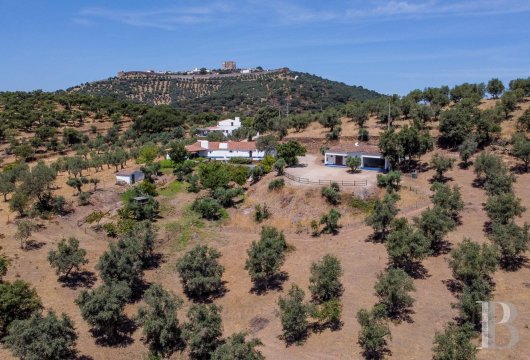 An authentic “Monte” or farmhouse set amidst olive trees  in the area around Estremoz, in the Alentejo region