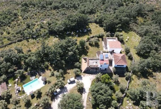 A house, with a swimming pool, amongst the Alentejo region’s olive trees  near to Castelo-de-Vide and the Spanish border