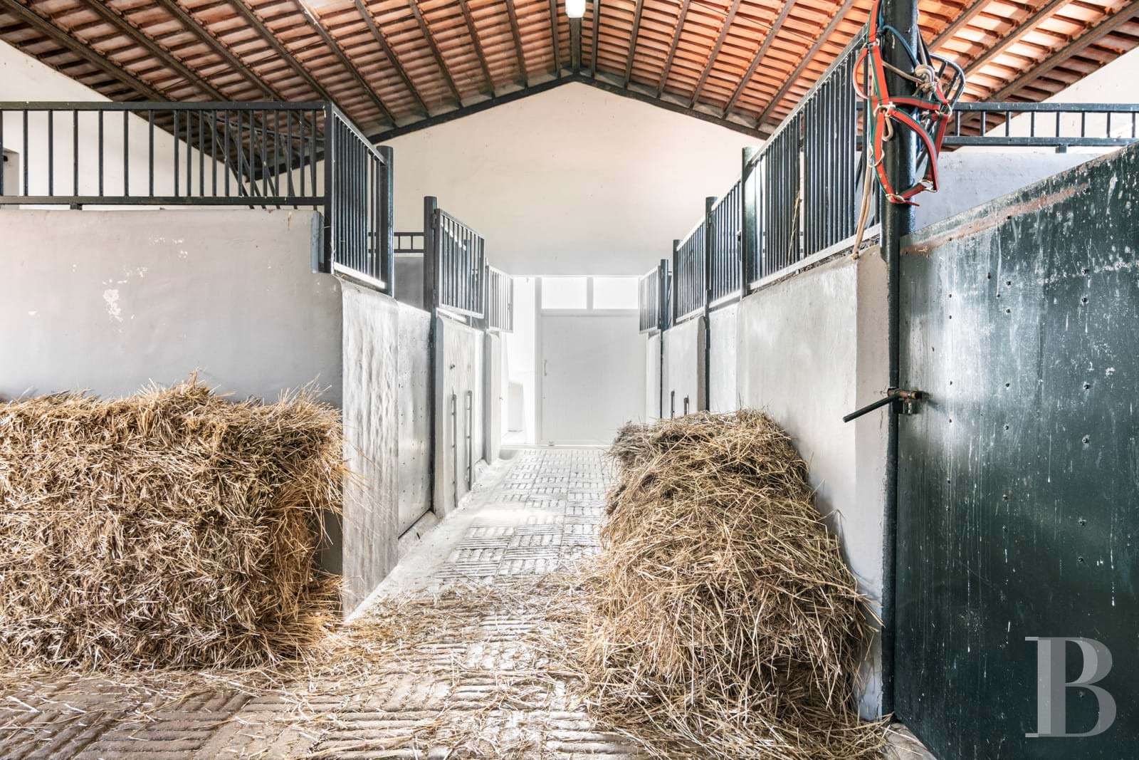 Equestrian estate for sale Portugal