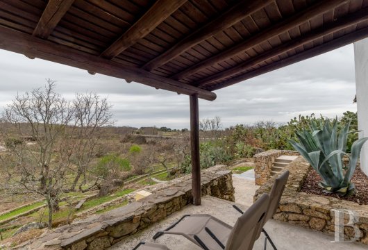 A property with five houses, surrounded by olive trees  in the area around Castelo-de-Vide