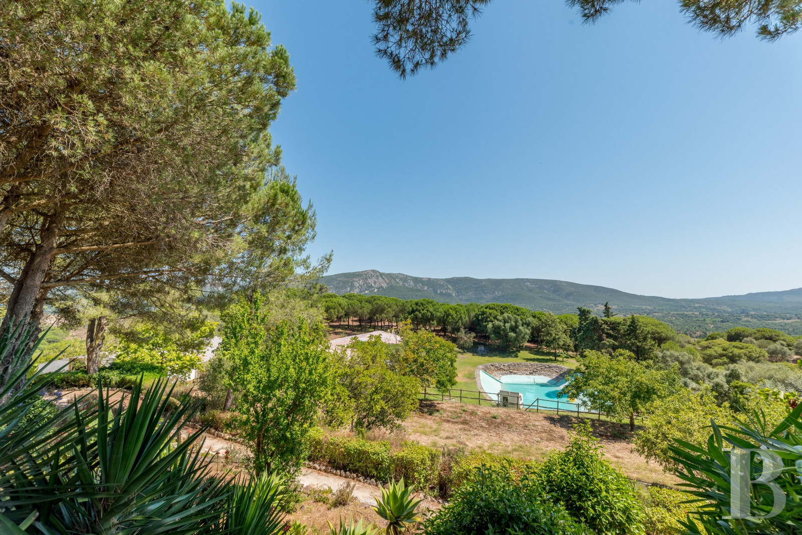 Equestrian estate property for sale Portugal