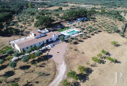 An authentic quinta and grounds of 1.25 hectares planted with olive trees  in the Alentejo region, close to the Alqueva lake