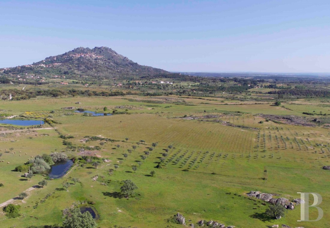 A certified organic farm on 238 hectares of grounds, with its planned <br/>sustainable hospitality development, close to the village of Monsanto