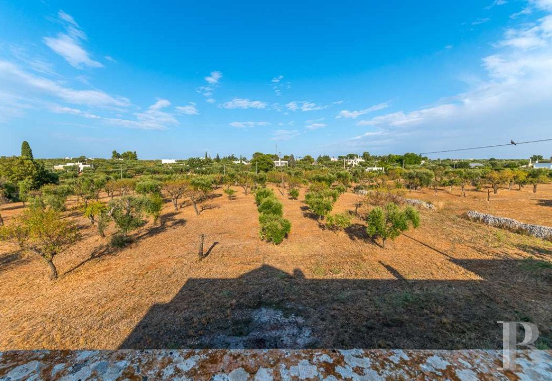 Farmhouse for sale Castellana Grotte Italy