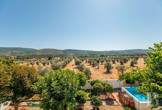 A modern village house with a swimming pool, near the town of Marvão in Portugal’s Alentejo region