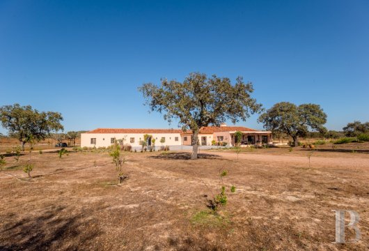 An Africa-inspired villa with 30 hectares of grounds, tucked away by the picturesque village of Pavia