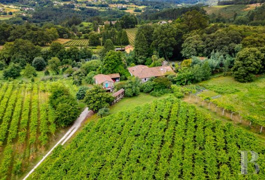 In Galicia, a historic 15th-century presbytery, its Albariño vineyard in production and its tourist outbuilding ...