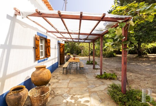 On the outskirts of Estremoz, an 18th-century Alentejo property with a 7,200 m² olive grove