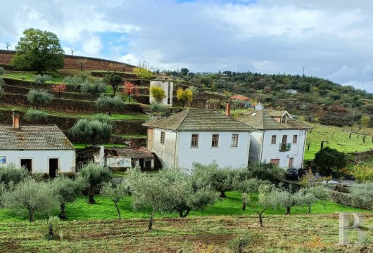 In the Alto Douro, a traditional quinta dating from 1939 to be rebuilt on 12 hectares of olive and almond trees.