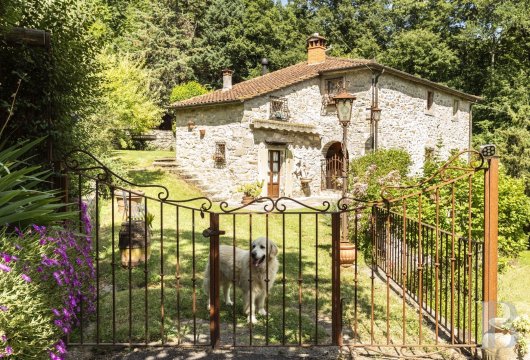 In Casentino, a restored 17th-century mill on the banks of the Talla stream, with 6,000 m² of enclosed grounds.