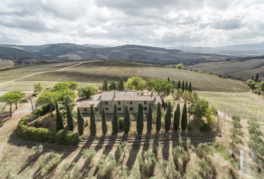 In the heart of the Val d'Orcia hills, a Tuscan residence and its 5 hectares of cultivated land