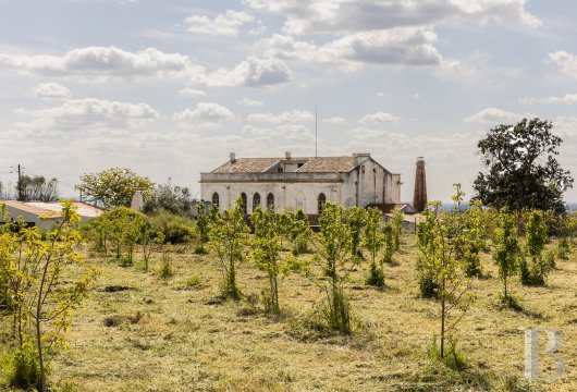 In Estremoz, a 5-hectare quinta backing onto the ramparts, with houses, ruins to restore and a café licence.